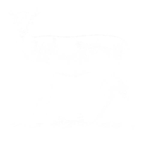 Illustrations